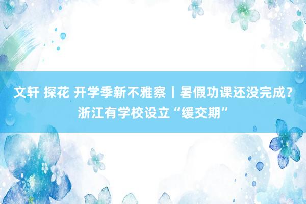 文轩 探花 开学季新不雅察丨暑假功课还没完成？浙江有学校设立“缓交期”