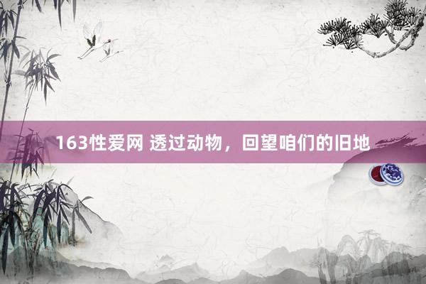 163性爱网 透过动物，回望咱们的旧地