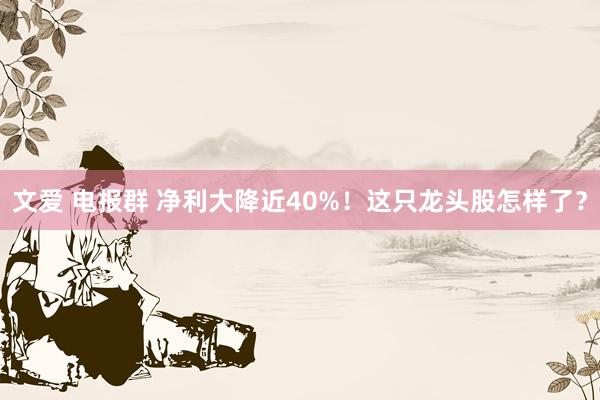 文爱 电报群 净利大降近40%！这只龙头股怎样了？