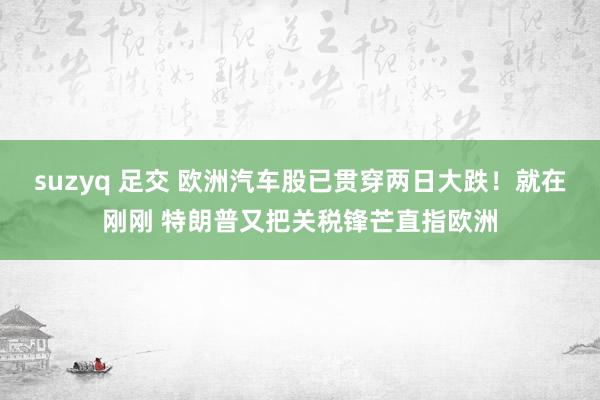 suzyq 足交 欧洲汽车股已贯穿两日大跌！就在刚刚 特朗普又把关税锋芒直指欧洲