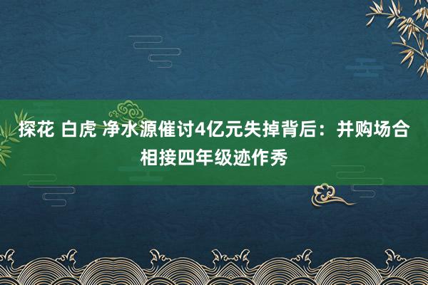探花 白虎 净水源催讨4亿元失掉背后：并购场合相接四年级迹作秀