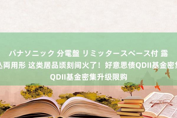 パナソニック 分電盤 リミッタースペース付 露出・半埋込両用形 这类居品顷刻间火了！好意思债QDII基金密集升级限购
