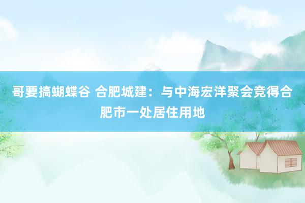 哥要搞蝴蝶谷 合肥城建：与中海宏洋聚会竞得合肥市一处居住用地
