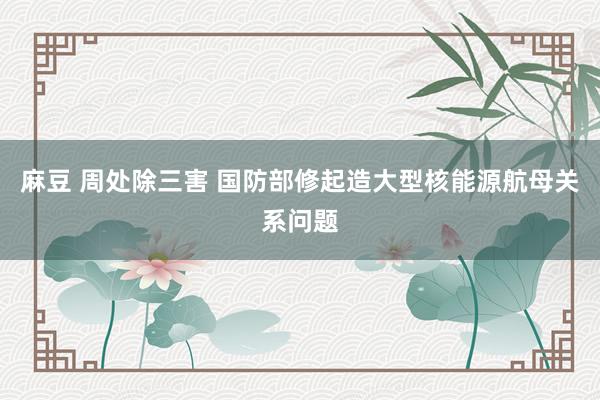 麻豆 周处除三害 国防部修起造大型核能源航母关系问题