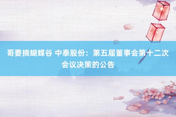 哥要搞蝴蝶谷 中泰股份：第五届董事会第十二次会议决策的公告
