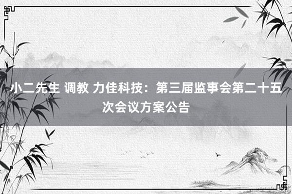 小二先生 调教 力佳科技：第三届监事会第二十五次会议方案公告