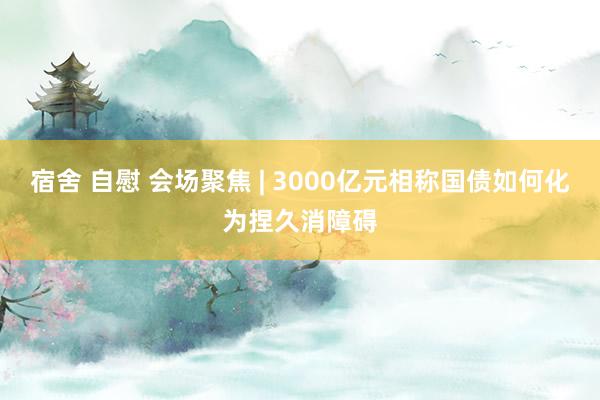 宿舍 自慰 会场聚焦 | 3000亿元相称国债如何化为捏久消障碍