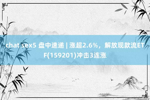 chat sex5 盘中速递 | 涨超2.6%，解放现款流ETF(159201)冲击3连涨