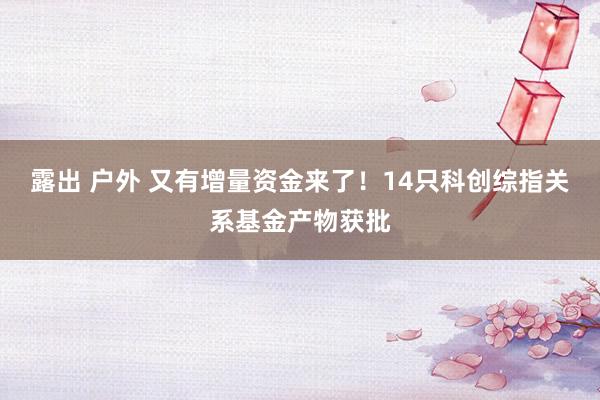 露出 户外 又有增量资金来了！14只科创综指关系基金产物获批